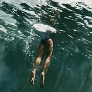 The Plunge