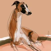 The Greyhound