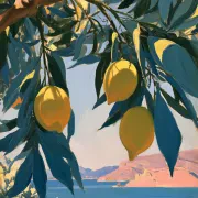 Citrus Riviera