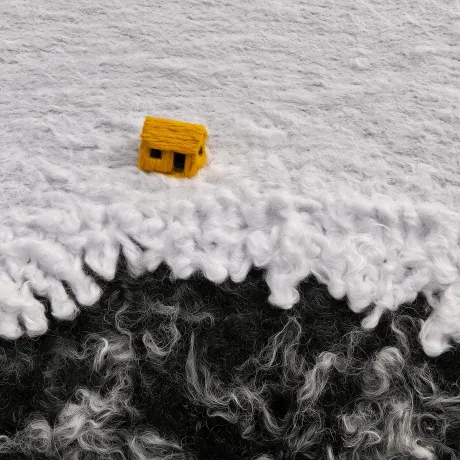 Edge of the Wool