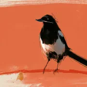 One for the Magpie