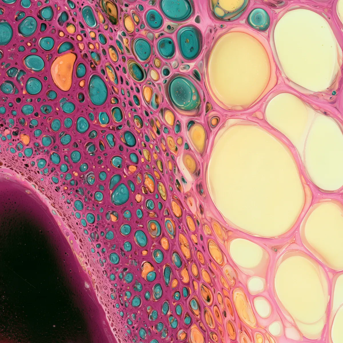 Flamingo Cells