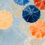 Parasols from On High
