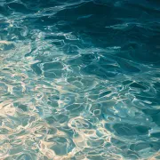 Pool Glitter