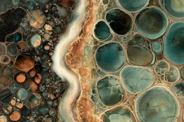 View Embers in Onyx