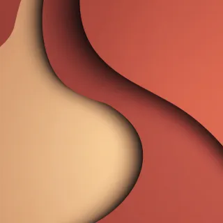 Elegance in Motion: The Dance of Shadows